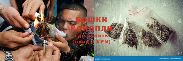 стафф Осташков