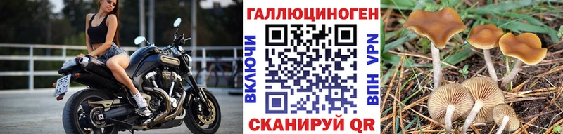 Галлюциногенные грибы мицелий  ОМГ ОМГ ссылка  shop телеграм  Рыбное 